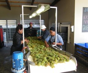  Wynuitstappie Duisend